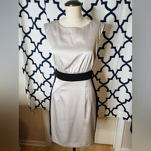 Silvery Taupe And Black Sateen Sheath Dress From The Limited